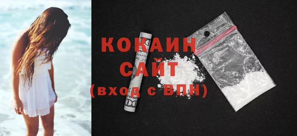 шишки Вязники