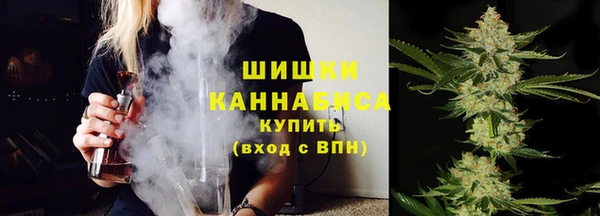 шишки Вязники