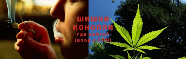 шишки Вязники