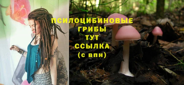 шишки Вязники