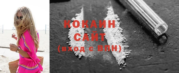 шишки Вязники