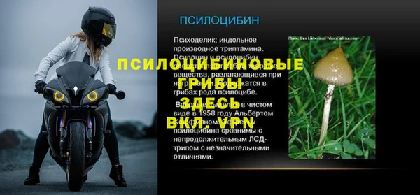 хмурый Вязьма
