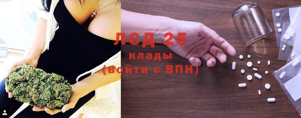 шишки Вязники